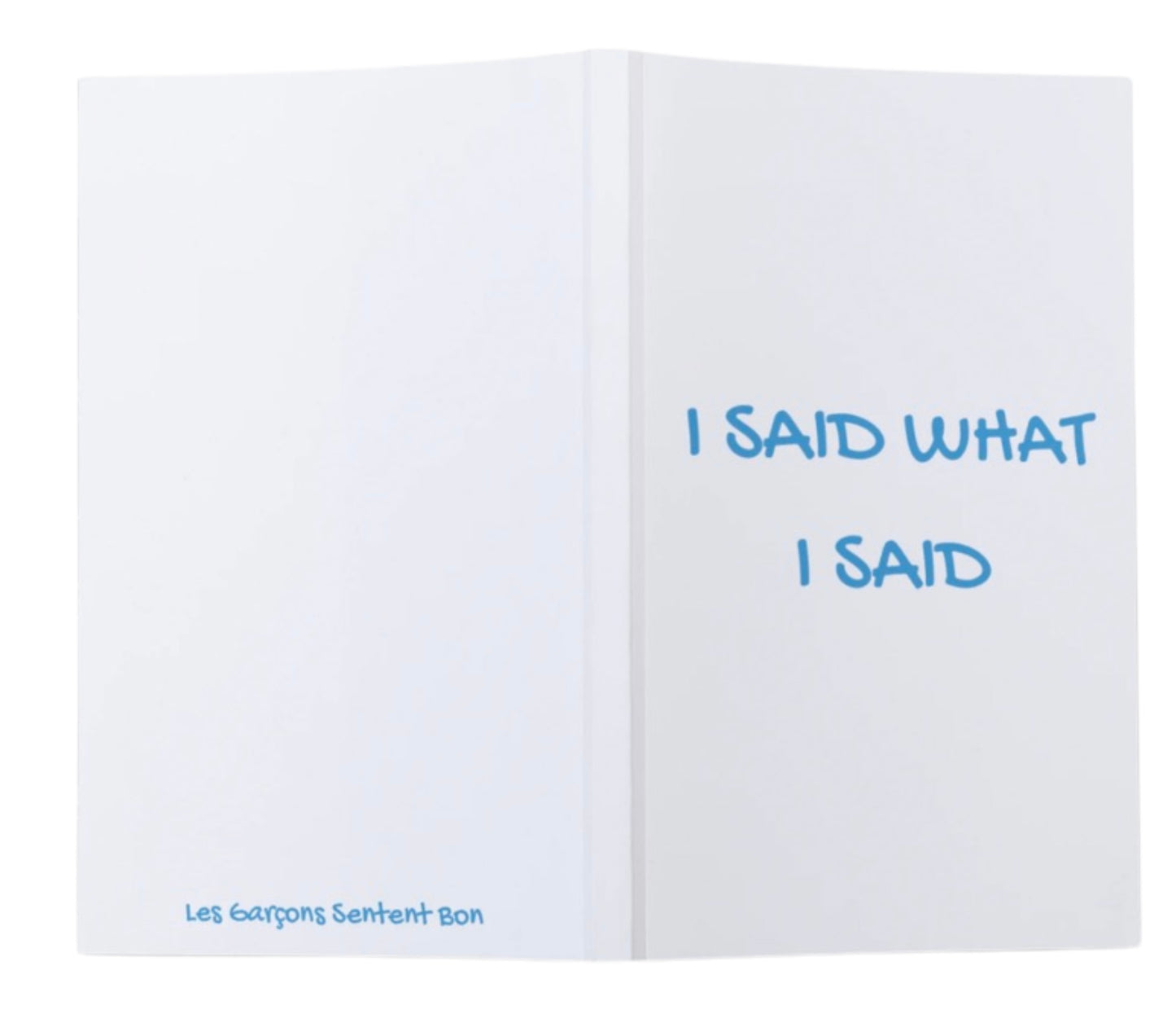 I SAID WHAT SAID NOTEBOOK